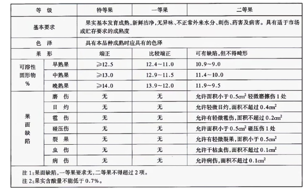 李子冷庫建造完成后如何用于儲存的？這些你都知道嗎