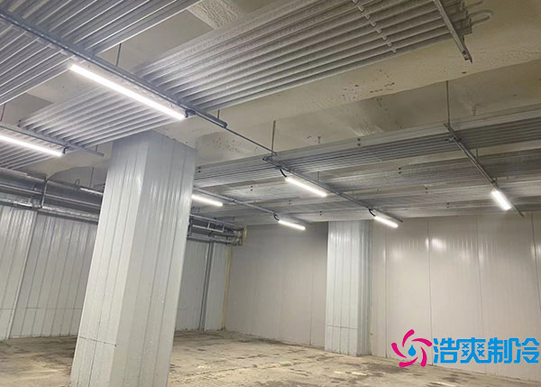 600噸貨物需要建造多大的冷藏庫(kù)？.jpg